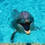 Dolphine